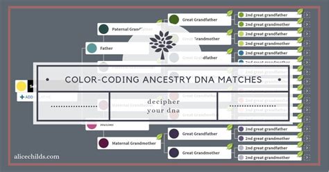 Color-Coding Ancestry DNA Matches – GenealogyNow