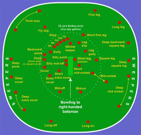 Cricket Fielding Positions | Fielding Positions In Cricket Ground