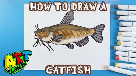 How to Draw a CATFISH!!! - YouTube