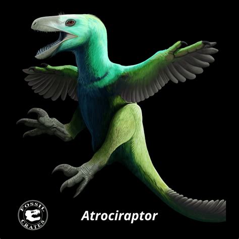 Paleoplanet Profile:Atrociraptor | Fandom