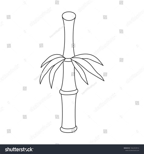 Bamboo Vector Outline Icon Vector Illustration Stock Vector (Royalty ...