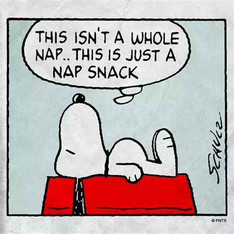 Nap Snack | Snoopy funny, Snoopy love, Snoopy quotes