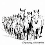 Herd Of Horses Coloring Pages  Free & Printable sketch template