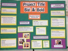 9 Poster Board ideas | poster board, science fair, tri fold poster board