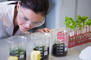 How to Become a Soil and Plant Scientist | EnvironmentalScience.org