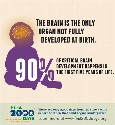 Brain Development Quotes. QuotesGram