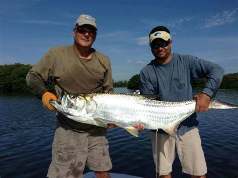 How Big Do Tarpon Get? (Average and Record Sizes)