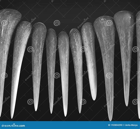 Graphi Design Like Elephant Teeth or Ivory Shaped and White Background ...