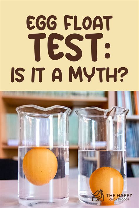 Egg float test is it a myth – Artofit