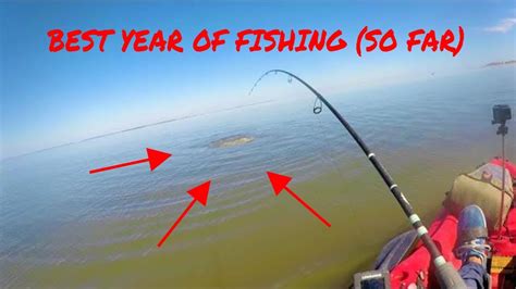 Beaufort SC fishing | Best of 2021 - YouTube