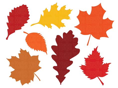 Fall Leaves Svg, Fall Svg, Fall Leaf Svg Bundle, Fall Png, Dxf, Clipart, Cut Files for Cricut ...