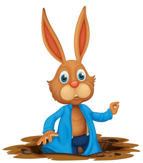 Rabbit Burrow Illustrations, Royalty-Free Vector Graphics & Clip Art - iStock