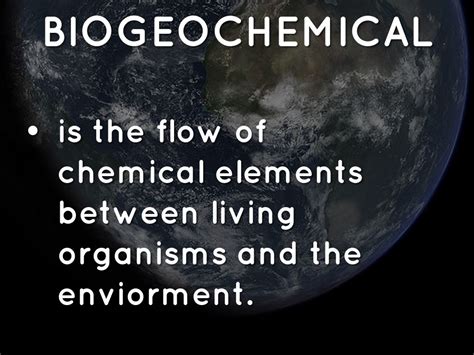 Nitrogen Cycle by Destinee Castillo