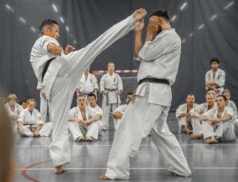 What is a Karate Gi? | The Martial Way