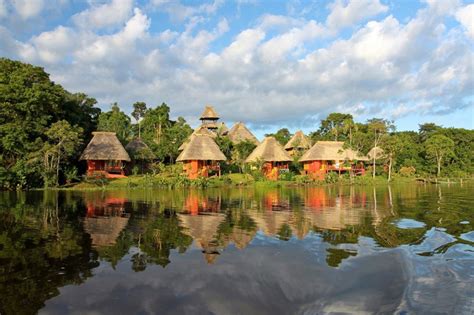 Yasuní National Park, Ecuador | National parks, Ecuador travel, Ecuador