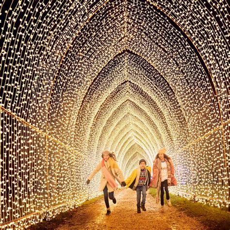 Houston Botanic Garden Lightscape Holiday Lights – JillBJarvis.com