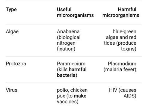 Harmful Microorganisms With Names