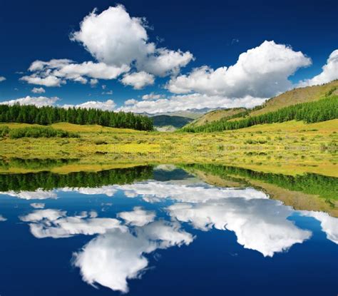 Landscape with Forest and Blue Sky Stock Image - Image of panorama, expanse: 4858177