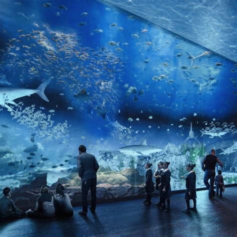 Buscan detonar turismo con nuevo acuario de Mazatlán