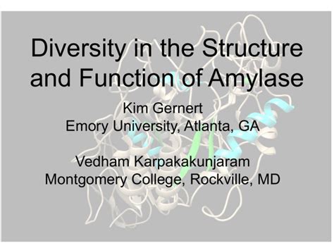 Diversity in the Structure and Function of Amylase