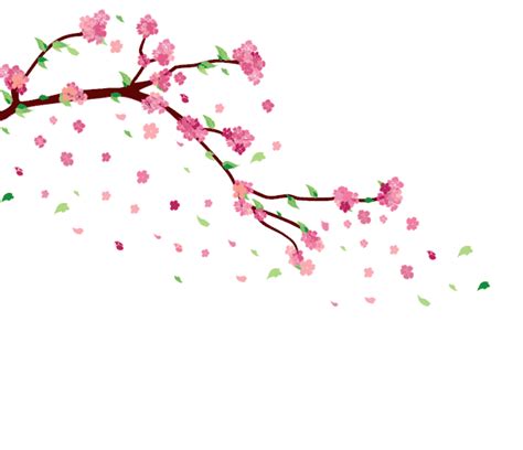 Cherry Blossom [GIF] by ayshamostafiz on DeviantArt