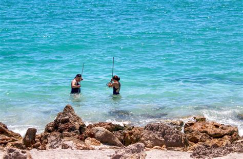 6 Sarasota Outdoor Activities | Must Do Visitor Guides