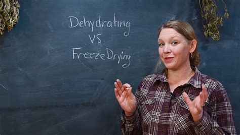 Freeze Dried vs. Dehydrated Foods (What's the Difference?) — Homesteading Family