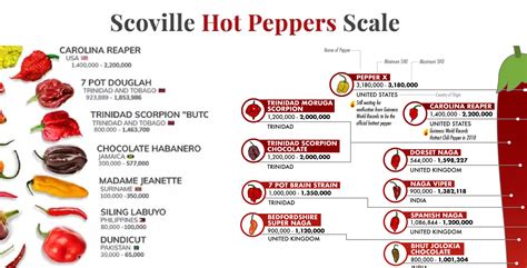 Infographic : Scoville Hot Pepper Scale