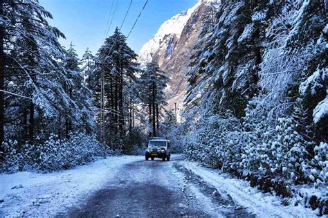 Yumthang - The Valley of Flowers, Sikkim | Tale of 2 Backpackers