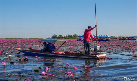 Visiting the Red Lotus Lake, Udon Thani