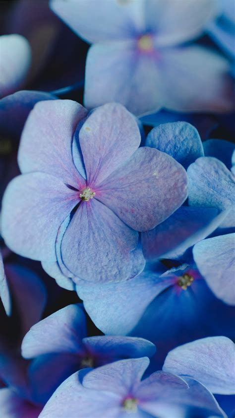 Periwinkle Aesthetic Wallpapers - Wallpaper Cave