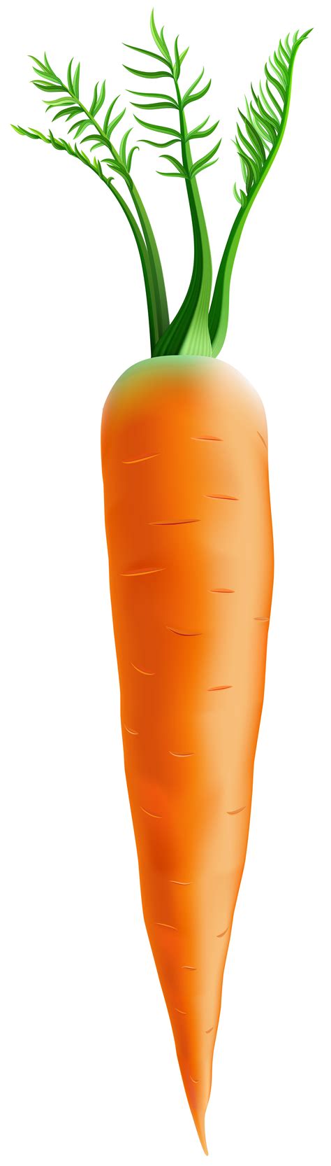 Free Carrot Background Cliparts, Download Free Carrot Background ...