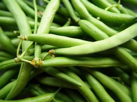 How to grow green beans in a pot - Patio Garden Life