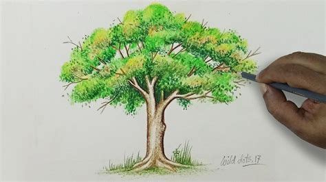 Tree Color Pencil Art #treeideas #tree #ideas in 2020 | Tree drawings pencil, Tree drawing, Oak ...