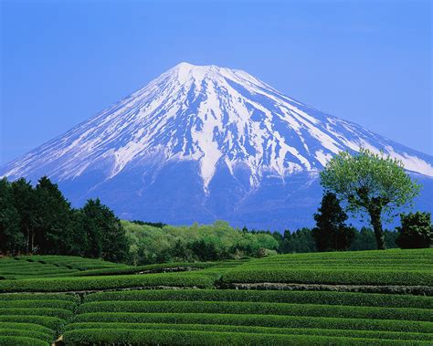 Battling Mount Fuji | Bootprints in the Sand