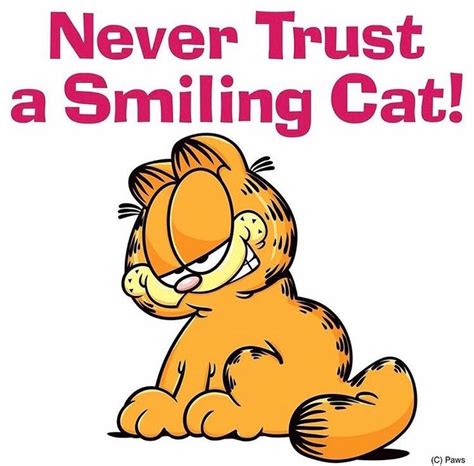 Pin by Oscar Gallardo on All About Cats and More | Garfield quotes, Funny quotes, Smiling cat