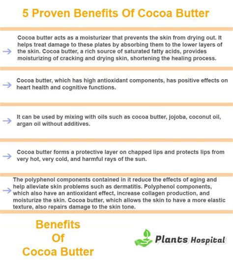 15 Science-Backed Benefits of Cocoa Butter: How To Use? And Warnings