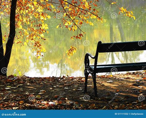 Bench in autumn park stock photo. Image of foliage, life - 51111552