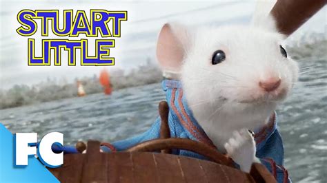 Stuart Little Clip: Captain Stuart joins the Boat Race | Full Comedy Adventure Movie Clip | FC ...