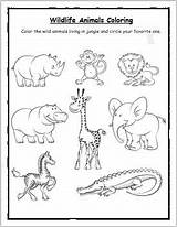 Wildlife Animals Coloring Worksheet  EnglishBix sketch template