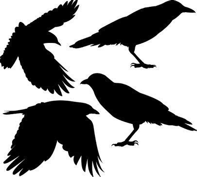 Pin by Salvador Aguilar on Gothic | Crow silhouette, Crow, Silhouette stencil