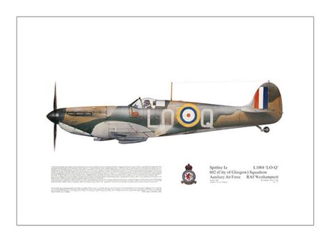 “Spitfire” IA 602 Squadron, Auxillary, RAF RAF Westhampton, UK – Squadron Graphics