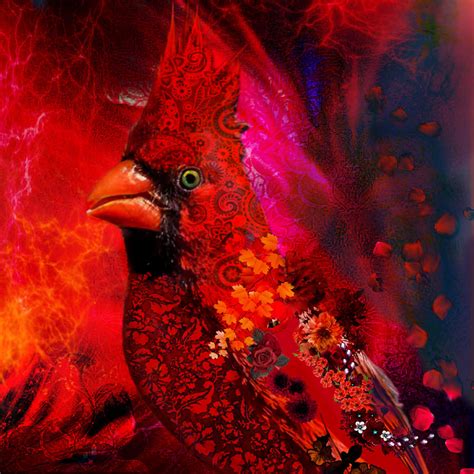 Cardinal bird Digital Art by Clarazen Art - Fine Art America