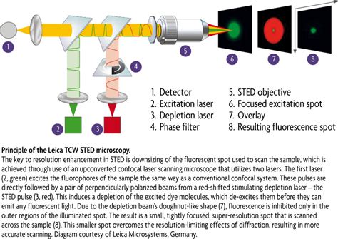 STED Microscopy Products