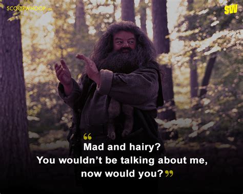 8 Of Rubeus Hagrid Quotes From Harry Potter