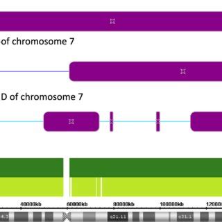 Local Affymetrix GenomeWideSNP_6.0 Array signal distribution pattern ...