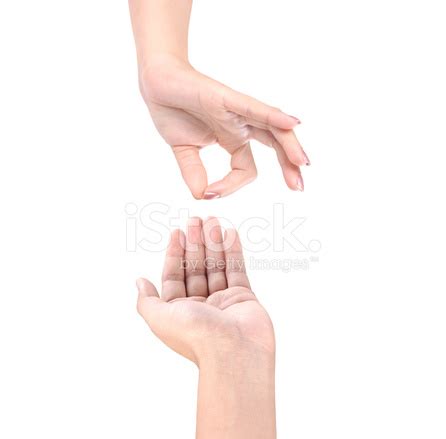 Open Palm Hand Gesture Stock Photo | Royalty-Free | FreeImages