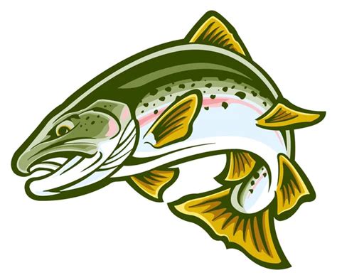 Trout Stock Vector Image by ©SlipFloat #43146183