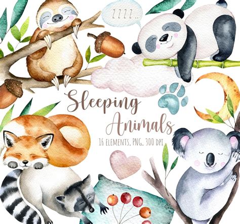 Cute Sleeping Animals Watercolor Clipart, Cute Sleeping Panda, Sweet Dreams Clipart, Good Night ...