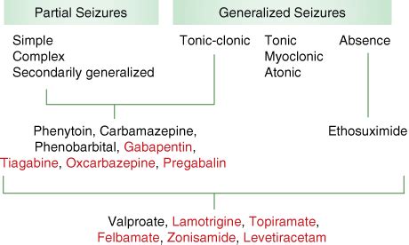 Antiseizure Medication Disorder | PSNet